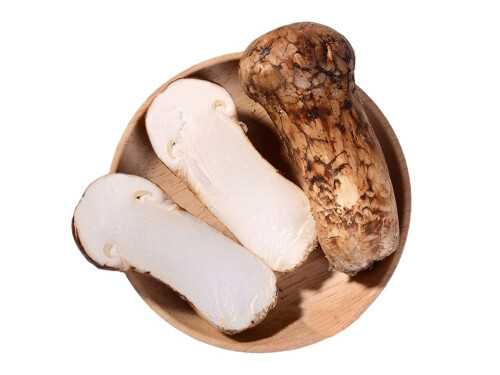 女生吃松茸有什么好处?吃松茸的禁忌 女生吃松茸有什么好处?吃松茸的禁忌