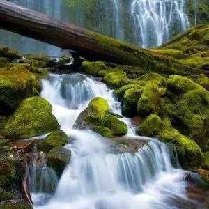 女人用什么头像运气最好