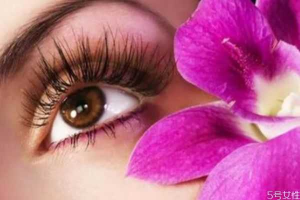 种完睫毛多长时间可以碰水？种完睫毛后有什么注意