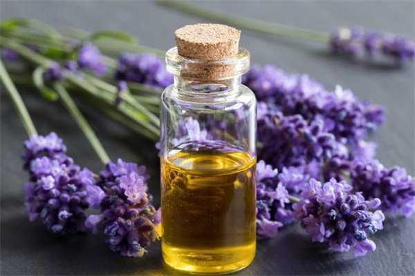 薰衣草精油可以直接涂抹在脸上吗 薰衣草精油可以直接涂抹在脸上吗