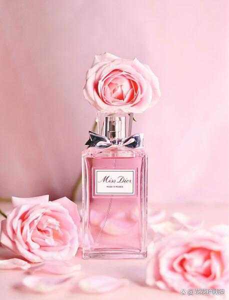 迪奥小姐玫舞轻旋淡香水好闻吗