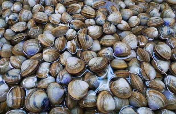 养殖水产品哪个利润高 养殖水产品哪个利润高