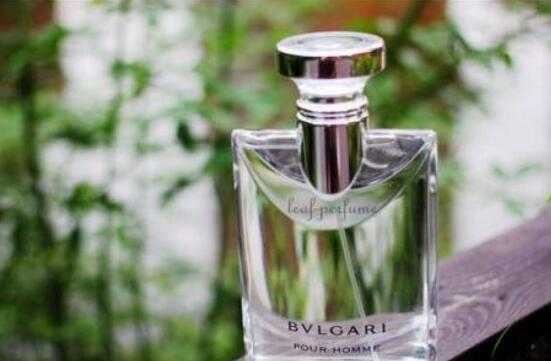 宝格丽夜茉莉香水怎么样 宝格丽夜茉莉香水怎么样