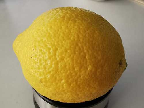 鸭屎香柠檬茶好喝还是柠檬红茶吗?鸭屎香柠檬茶有点苦涩正常吗 鸭屎香柠檬茶好喝还是柠檬红茶吗?鸭屎香柠檬茶有点苦涩正常吗