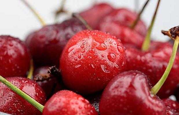 哪些人不适合吃车厘子 哪些人不适合吃车厘子