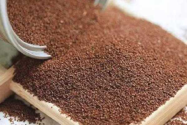 海藻面膜是大颗粒的好还是小颗粒的好 海藻面膜买哪种的好