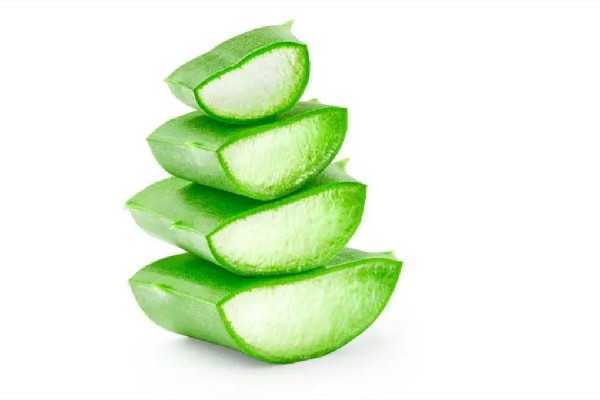 新鲜芦荟会刺激皮肤吗