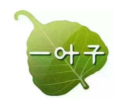 韩后面膜怎么样