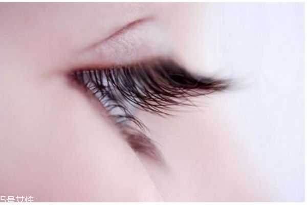 眼睫毛比较少应该怎么办呢