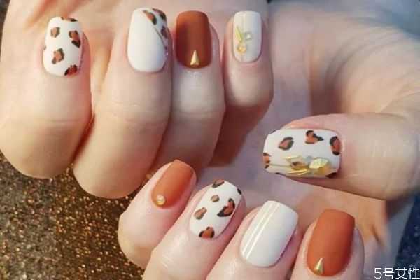 防翘剂什么时候涂 防翘剂和加固胶的顺序