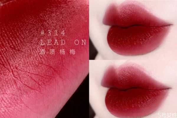 雅诗兰黛314口红怎么样 雅诗兰黛314试色
