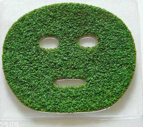 海藻面膜是什么种子？海藻面膜到底是什么？