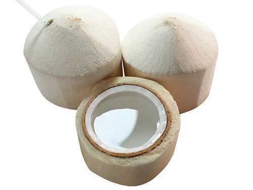 如何快速开椰子?4种最巧妙最简单开椰子的方法 如何快速开椰子?4种最巧妙最简单开椰子的方法