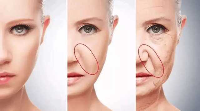 八款抗皱抗老面霜测评对比表现—赫徕、赫莲娜、修丽可、HBN