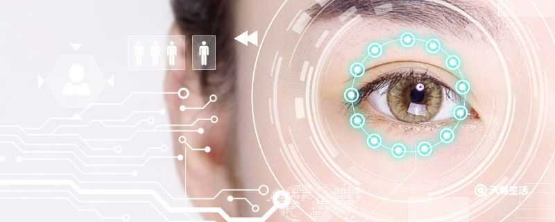 卧蚕和眼袋一样吗？