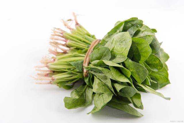 女生朋友补充叶酸有什么好处