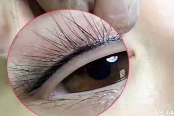 种完睫毛多长时间可以碰水？种完睫毛后有什么注意