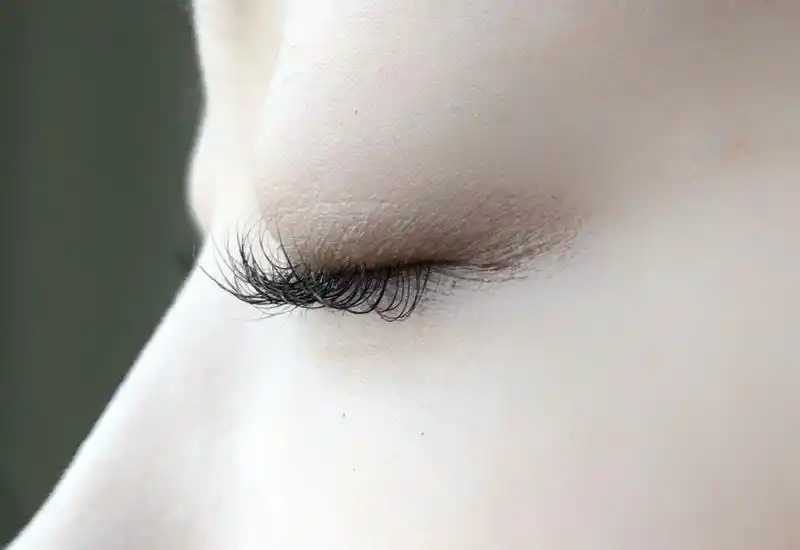 睫毛夹有必要买贵的么