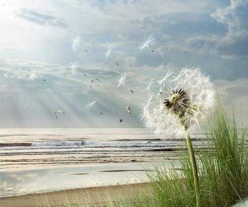 规律健身控制饮食真的有利于健康吗? 规律健身控制饮食真的有利于健康吗?