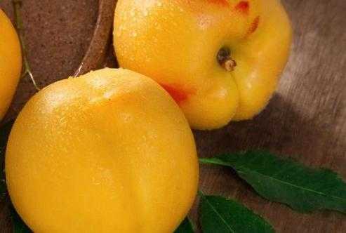 黄桃和蜜桃哪种好吃 黄桃和蜜桃哪种好吃