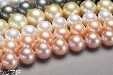 珍珠粉在哪里可以买到?正宗的珍珠粉哪里买 珍珠粉在哪里可以买到?正宗的珍珠粉哪里买