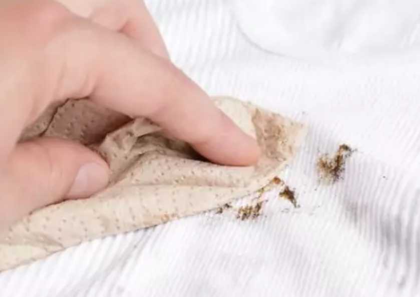 卸妆水可以去除污渍