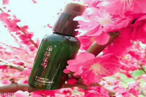 朵拉朵尚是一个怎么样的护肤品牌呢 朵拉朵尚是一个怎么样的护肤品牌呢