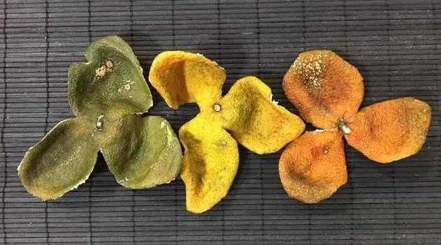 陈皮发苦是怎么回事 陈皮发苦是怎么回事