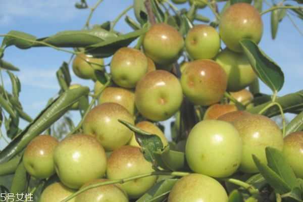 吃什么水果能美白全身