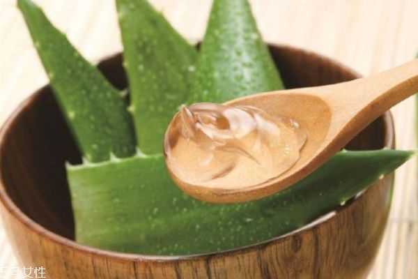 简单自制芦荟胶方法 简单自制芦荟胶方法