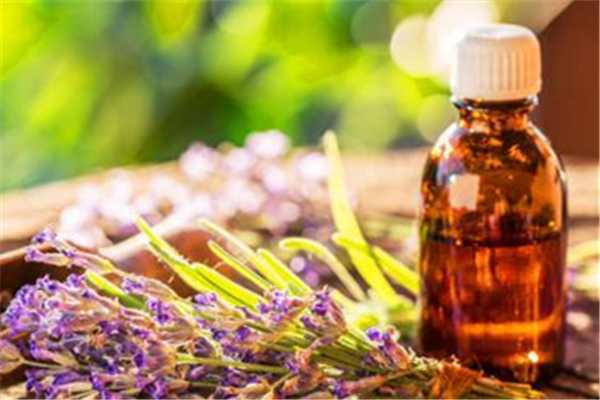 薰衣草精油要避光吗 薰衣草精油要避光吗