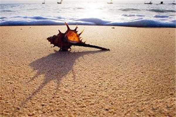 晒伤用什么药 晒伤用什么药