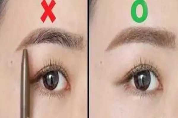 画眉需要注意的问题有哪些 画眉需要注意的问题有哪些