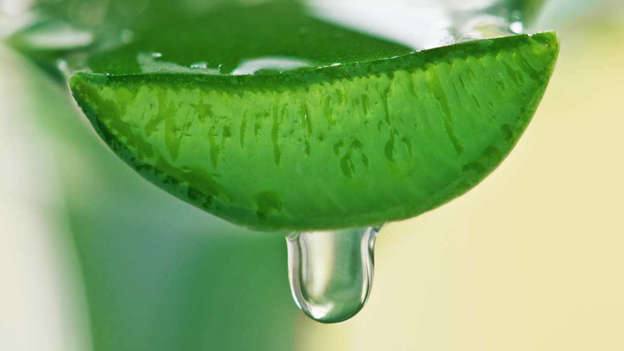 晒黑后芦荟凝胶修复效果如何? 晒黑后芦荟凝胶修复效果如何?