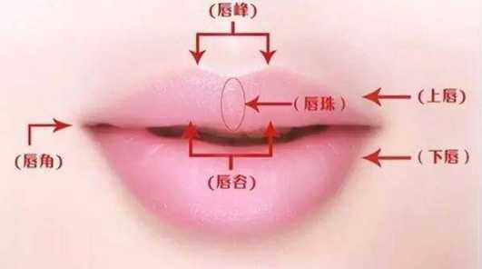 不同唇形怎么涂口红好看 唇形不好看怎么涂口红