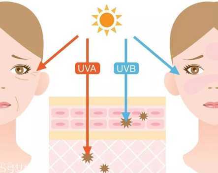 干皮怎么防晒最有效 3步就搞定干皮防晒