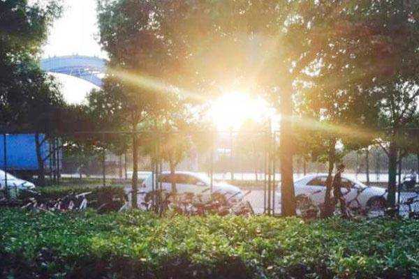 放置在车内的水经过暴晒后,还能喝吗? 放置在车内的水经过暴晒后,还能喝吗?