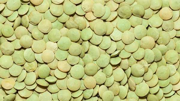 工作很忙吃什么好呢? 经常吃大豆抗衰老补钙 工作很忙吃什么好呢? 经常吃大豆抗衰老补钙