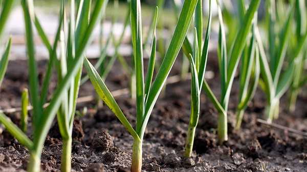 女生如何知道自己贫血  如何从月经看是否贫血