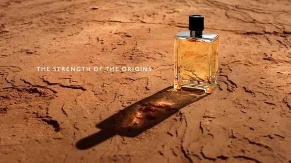 适合成熟男士十大香水