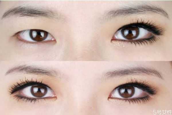 种睫毛和贴假睫毛哪个好