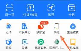 支付宝怎么更换实名认证 支付宝怎么关闭自动续费功能