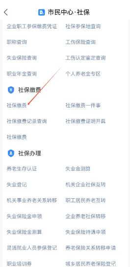 支付宝怎么城乡居民医保缴费 支付宝怎么隐藏真实姓名 支付宝怎么城乡居民医保缴费 支付宝怎么隐藏真实姓名