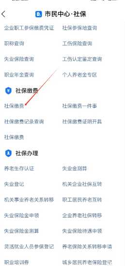 支付宝怎么城乡居民医保缴费 支付宝怎么隐藏真实姓名 支付宝怎么城乡居民医保缴费 支付宝怎么隐藏真实姓名