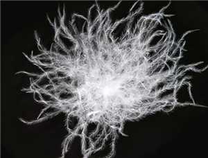 什么是充绒量和含绒量 充绒量和含绒量的标准 什么是充绒量和含绒量 充绒量和含绒量的标准