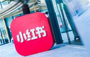 小红书千帆怎么关闭店铺功能 小红书千帆怎么退保证金 小红书千帆怎么关闭店铺功能 小红书千帆怎么退保证金