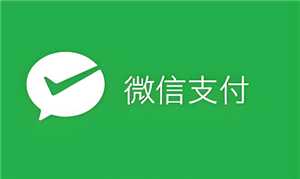 微信支付指纹怎么设置在哪里 微信支付人脸识别在哪里设置