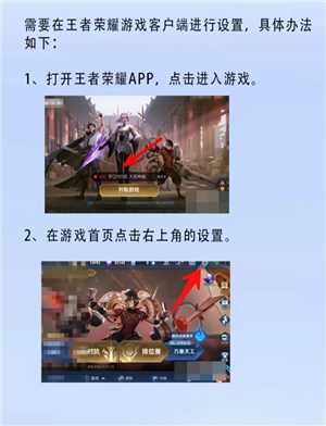 王者荣耀怎么设置隐私状态 王者荣耀怎么设置战绩别人看不见 王者荣耀怎么设置隐私状态 王者荣耀怎么设置战绩别人看不见