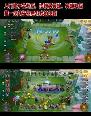 金铲铲之战怎么玩 金铲铲之战怎么隐藏vip等级 金铲铲之战怎么玩 金铲铲之战怎么隐藏vip等级