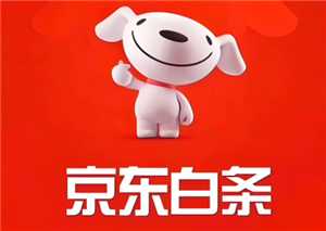 京东白条是什么意思 京东白条欠款逾期了会怎样 京东白条是什么意思 京东白条欠款逾期了会怎样